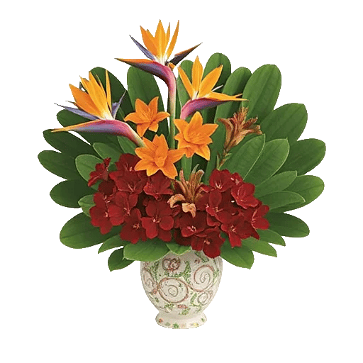 Petal Radiance Bliss
