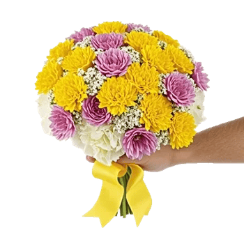 Petal Harmony Bliss