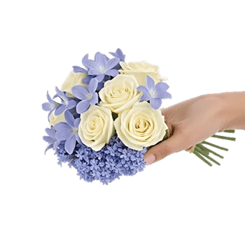 Blossom Petal Serenity