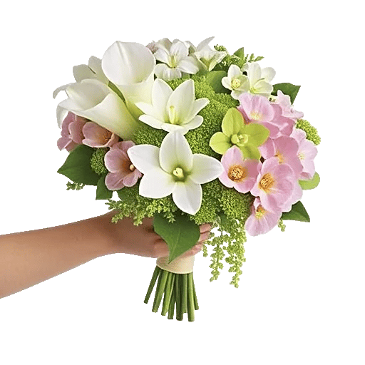 Modern White Orchids