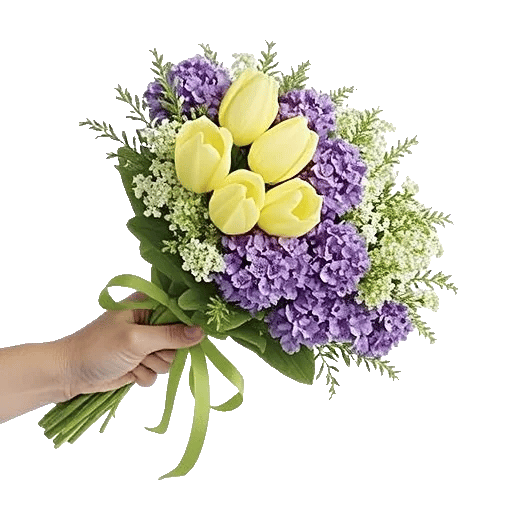 Blossom Harmony Display