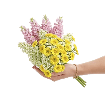 Blossom Harmony Display