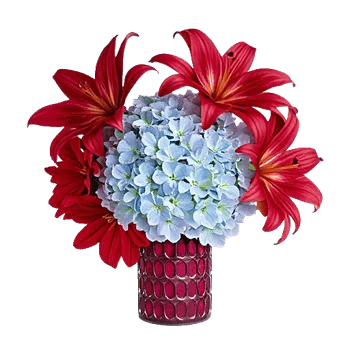 Crimson Lily Glow