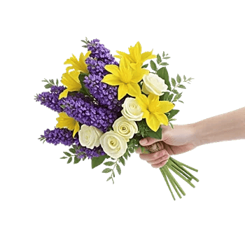 Blossom Harmony Display