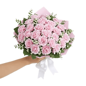 Pastel Pink Roses