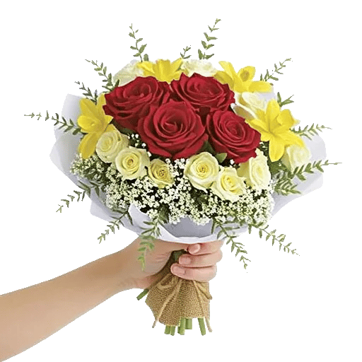 Crimson Rose Elegance