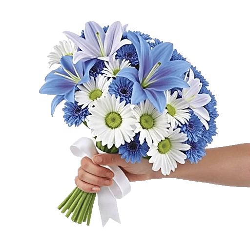 Serene Petal Harmony