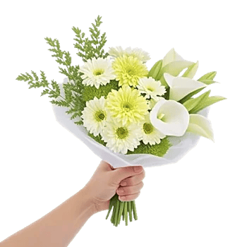Ivory Garden Grace