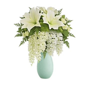 Ivory Blossom Radiance