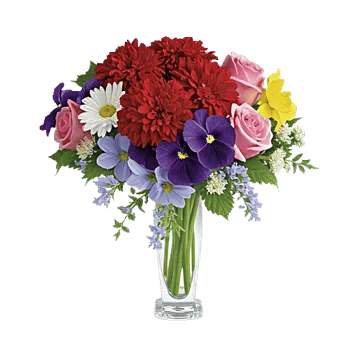 Petal Radiance Bliss