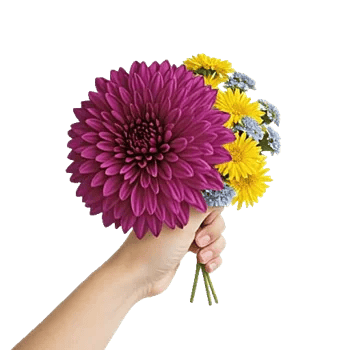 Crimson Blossom Harmony