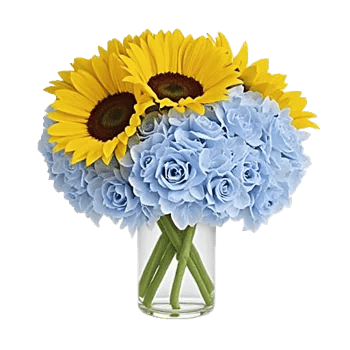 Radiant Bloom Cascade