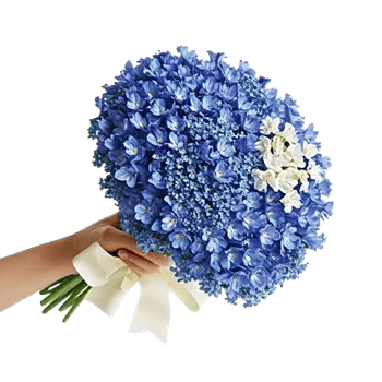 Elegant Blue Roses
