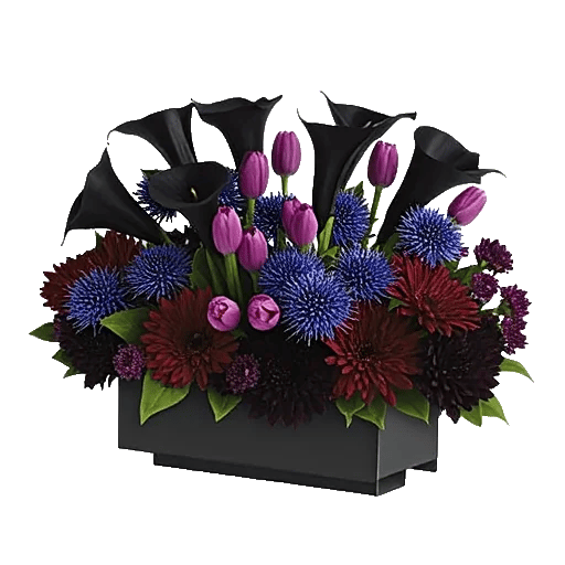 Elegant Calla Lilies