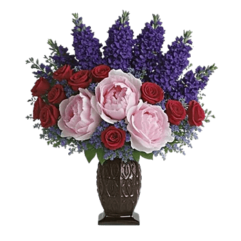 Petal Radiance Bliss