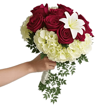 Delicate Petal Cascade