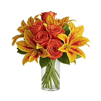 Petal Radiance Bliss