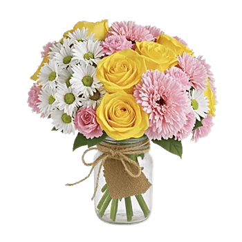 Enchanting Daisy Garden