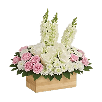 Delicate Petal Cascade