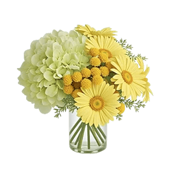 Ivory Blossom Radiance