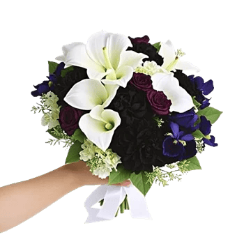 Delicate Petal Cascade