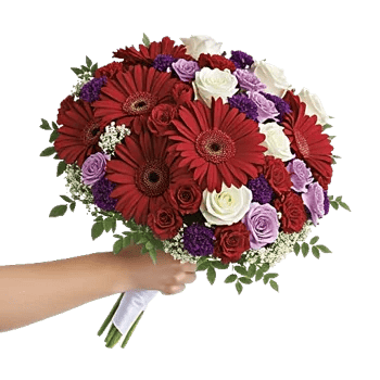 Petal Harmony Bliss