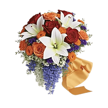 Blushing Rose Symphony