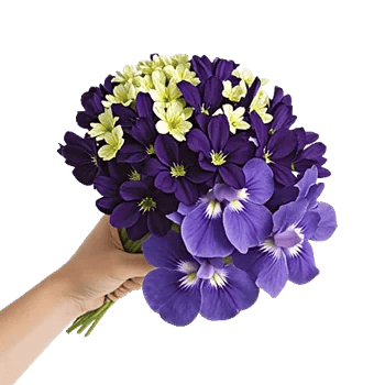 Blossom Harmony Display