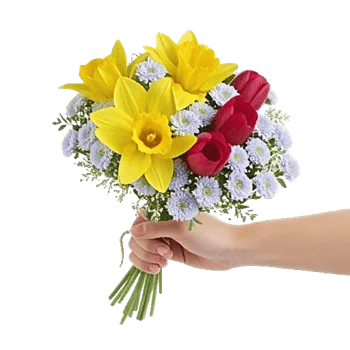 Blossom Harmony Display