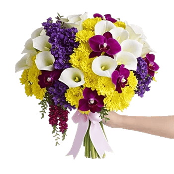 Elegant Calla Lilies