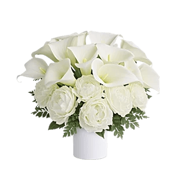 Elegant Calla Lilies