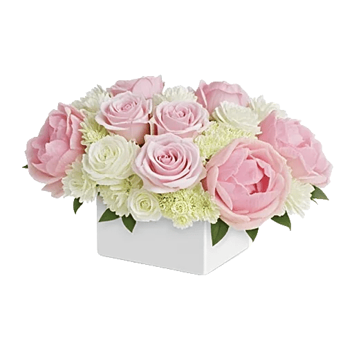 Delicate Petal Cascade