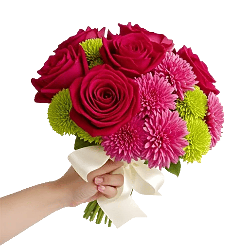 Crimson Rose Elegance