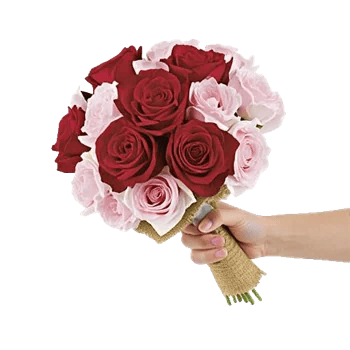 Crimson Rose Elegance