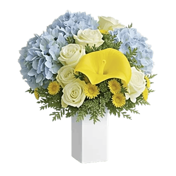 Serene Petal Harmony