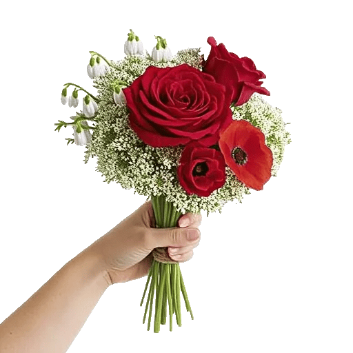 Blossom Harmony Display