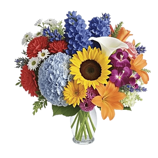 Radiant Bloom Cascade