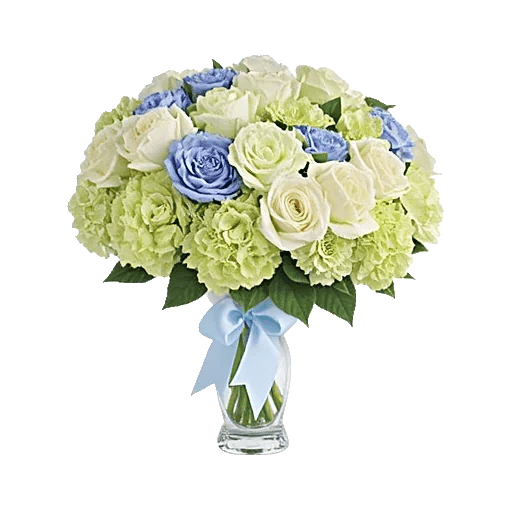 Serene Petal Harmony