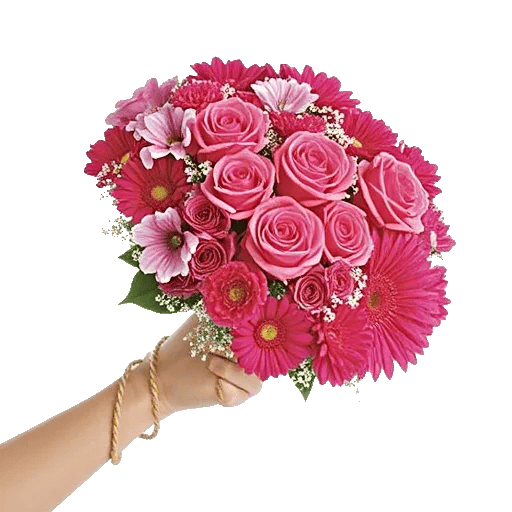 Pastel Pink Roses