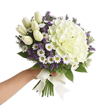 Serene Petal Harmony