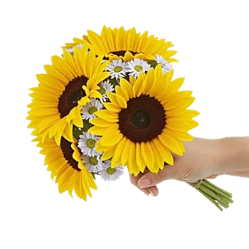 Twinkling Sunflower Dance