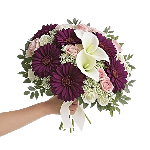 Delicate Petal Cascade