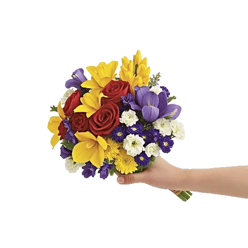 Dewy Morning Blossoms