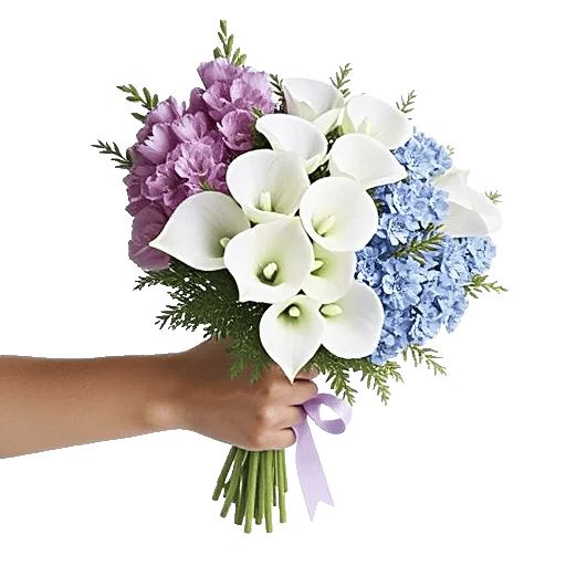 Lavender Bloom Grace