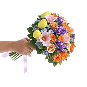 Blossom Harmony Display