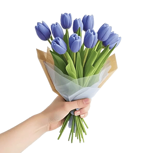 Velvet Tulip Display