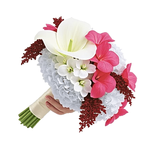 Elegant Calla Lilies