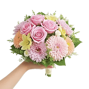 Pastel Pink Roses