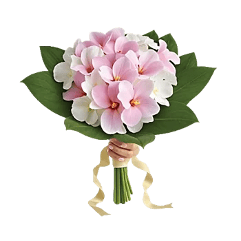 Modern White Orchids
