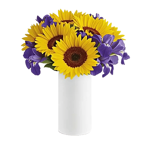 Ivory Blossom Radiance